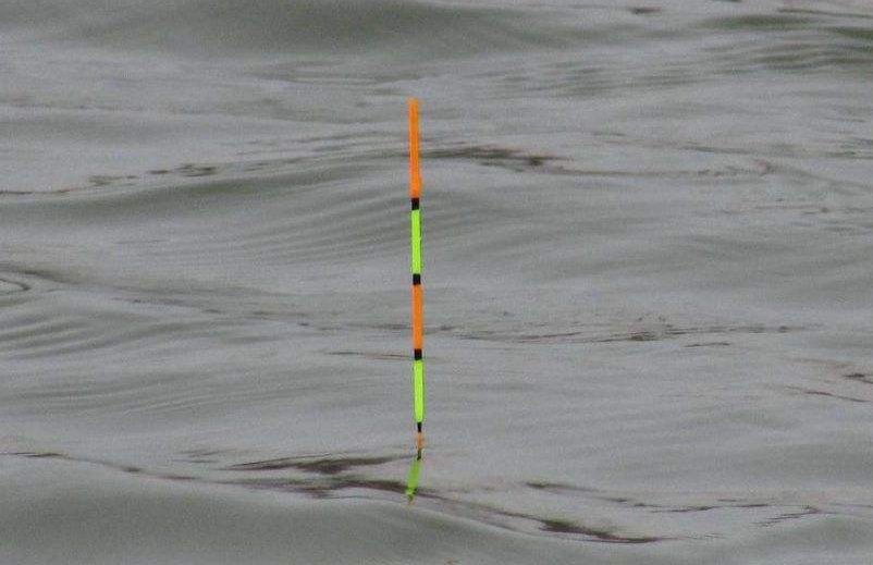 钓鱼浮漂的基本知识,钓鱼浮漂的真正知识