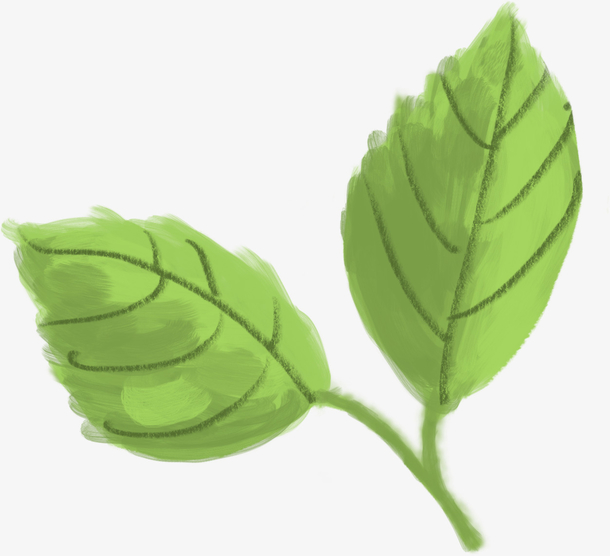 青年与父母的代沟解决方案,年轻人和父母最大的代沟