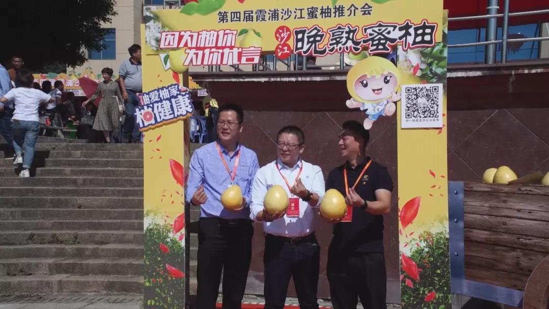 来啦高清视频完整版,来啦原版视频完整版