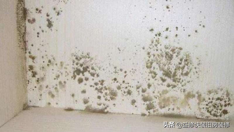 墙壁发霉怎么处理最有效,墙壁发霉怎么处理最快最有效