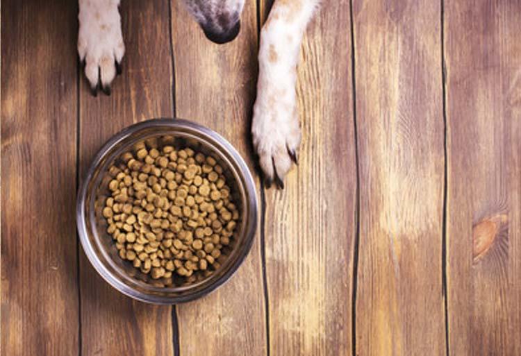 狗粮哪个牌子质量好性价比高,国产狗粮哪种便宜又性价比高