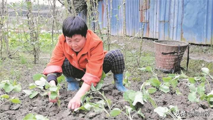 勤俭节约不浪费从你我做起,勤俭节约拒绝浪费传播正能量