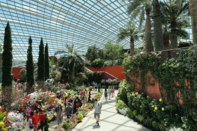 疫情期间去埃及旅游的亲历,疫情期间从深圳直飞洛杉矶体验