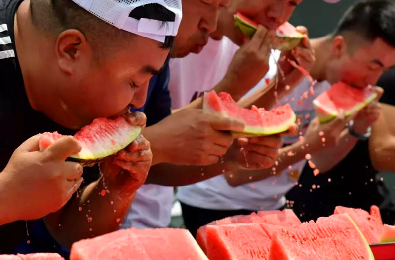 禁种戈壁西瓜的原因,戈壁西瓜为什么禁种