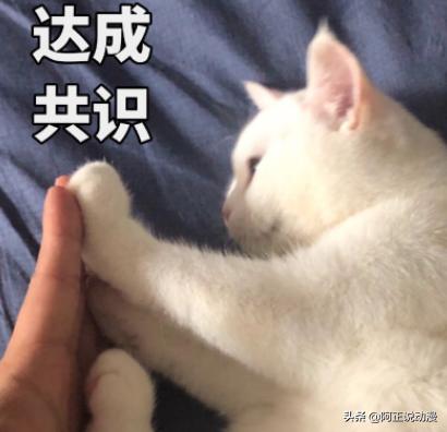 看这个大佬的动画,10个人有9个都会晕过去