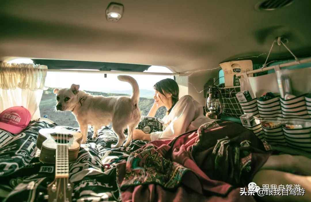 vanlifevlog自驾游,vanlifevlog