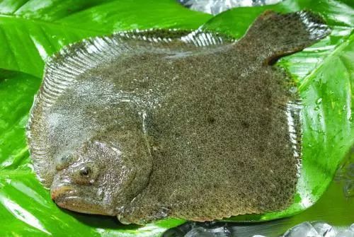 一周食安黑名单,本周食安黑榜