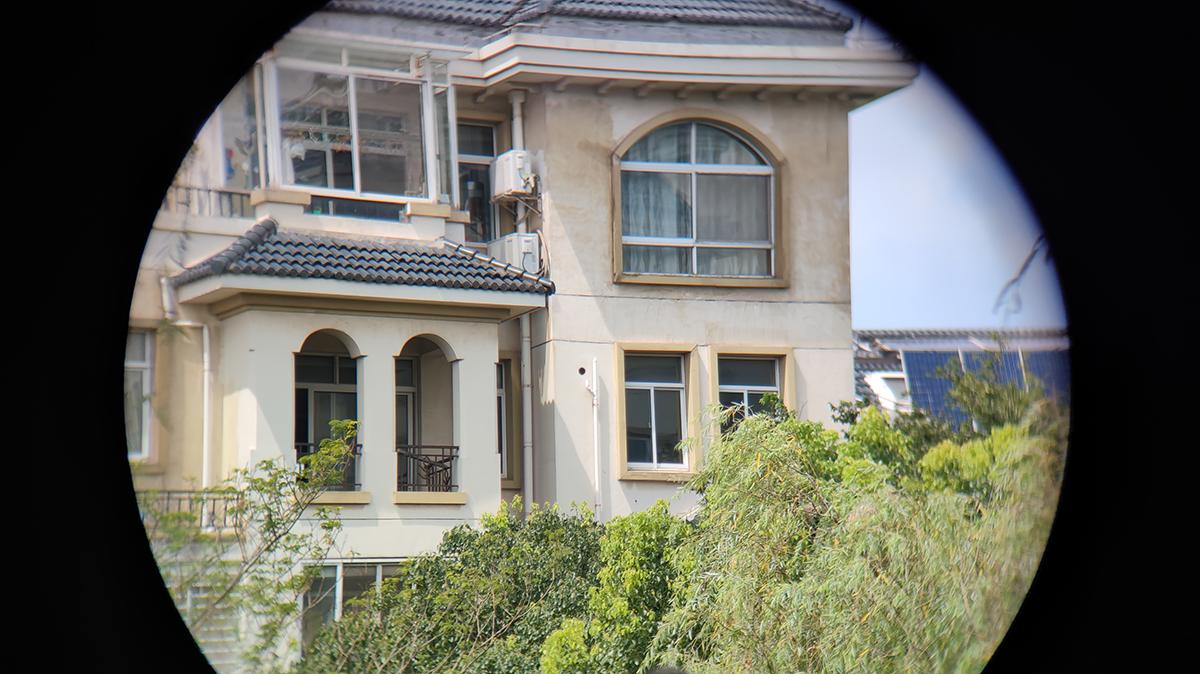 给孩子一双慧眼,星特朗dx10x50双筒望远镜怎么样