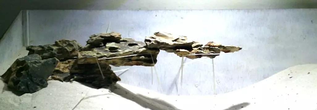 草缸造景教程：胶水造景太温柔，男人就该上电钻