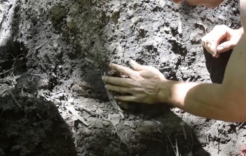 原始木炭烧制原理,古法烧制木炭的关键技术要点