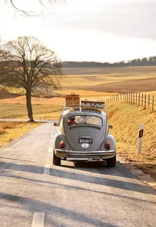 男女旅行计划差异,男女旅行有哪些不同