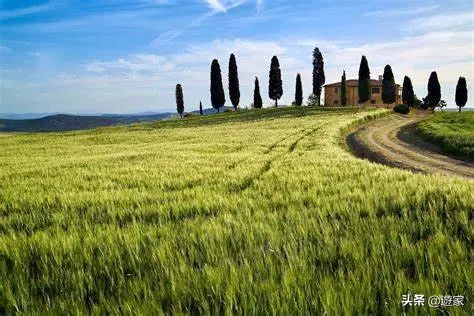 饮一杯托斯卡纳，TA值得你等