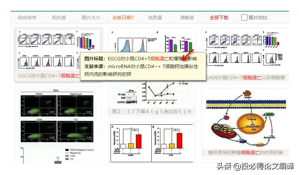 文献检索工具主要有以下几种类型,文献检索的搜索技巧