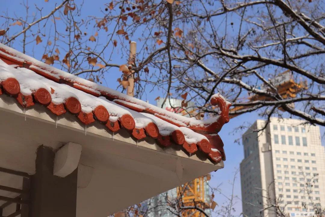 天津市高级中等学校,天津市锐华高级中学