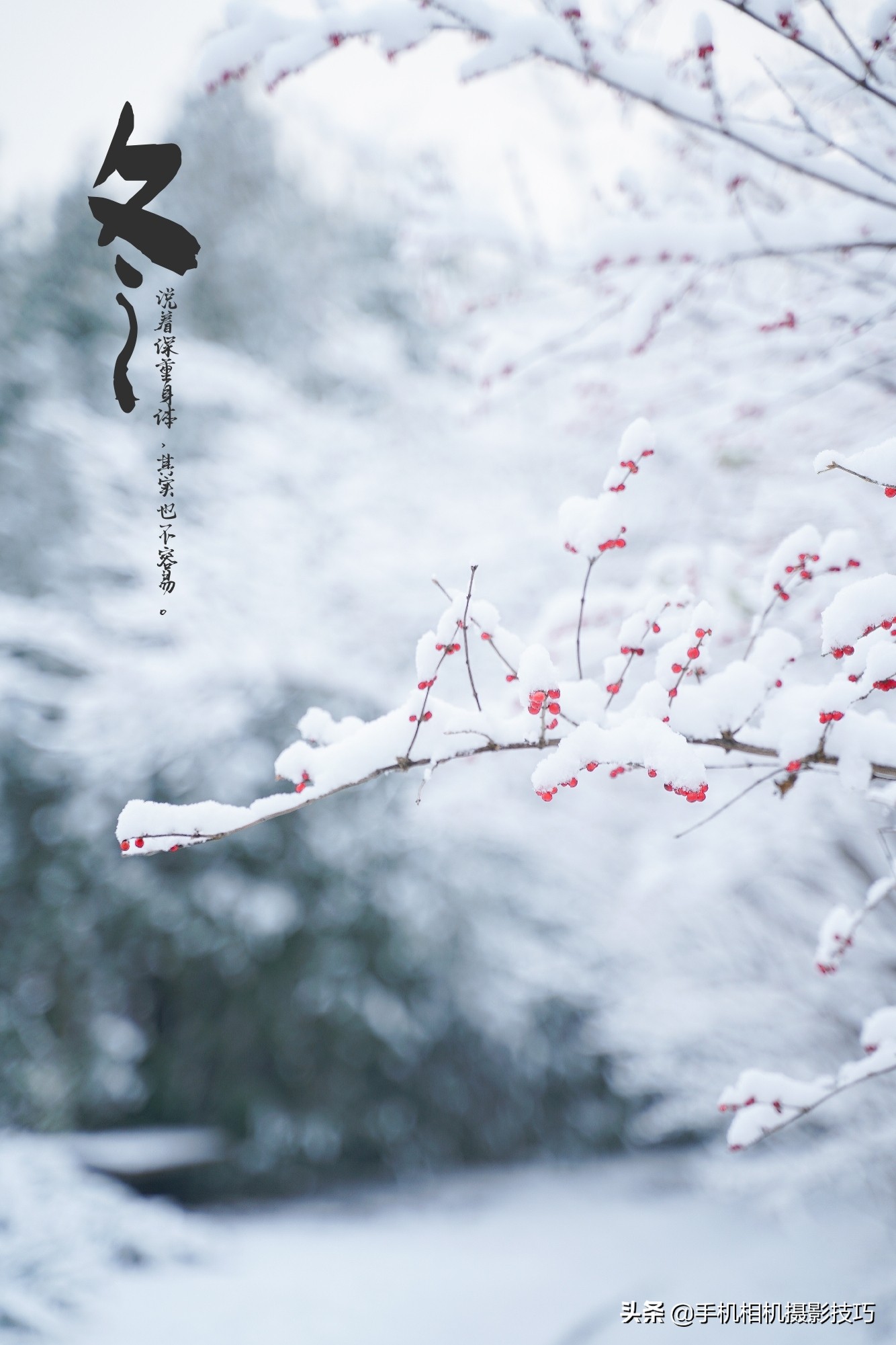 给照片加上水印用什么软件,怎么给照片加水印手机版