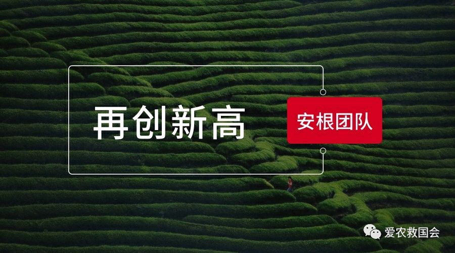 茶叶电商平台排行榜,茶叶电商批发怎么做得好