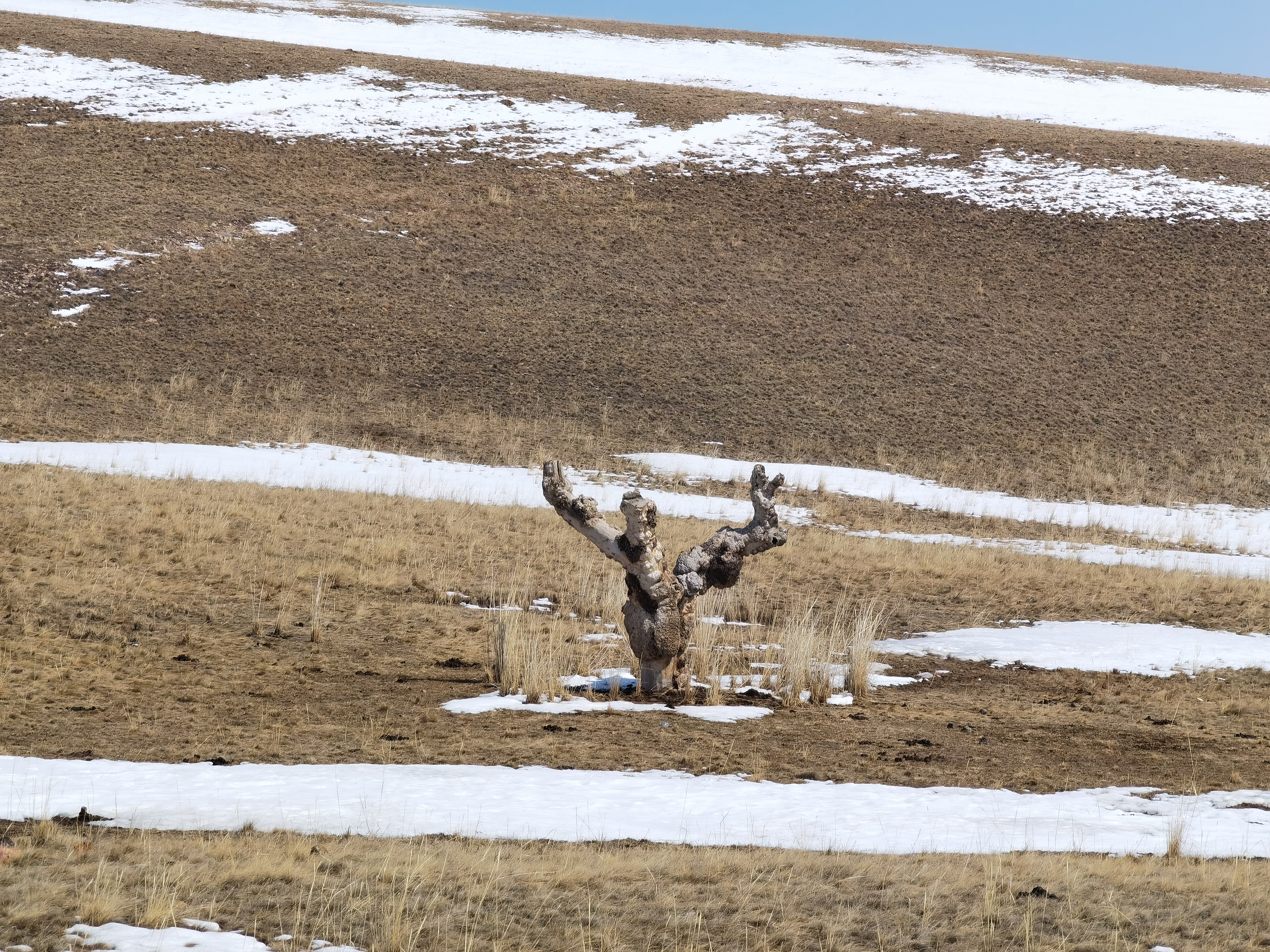 在新疆的美好生活,在新疆的幸福生活