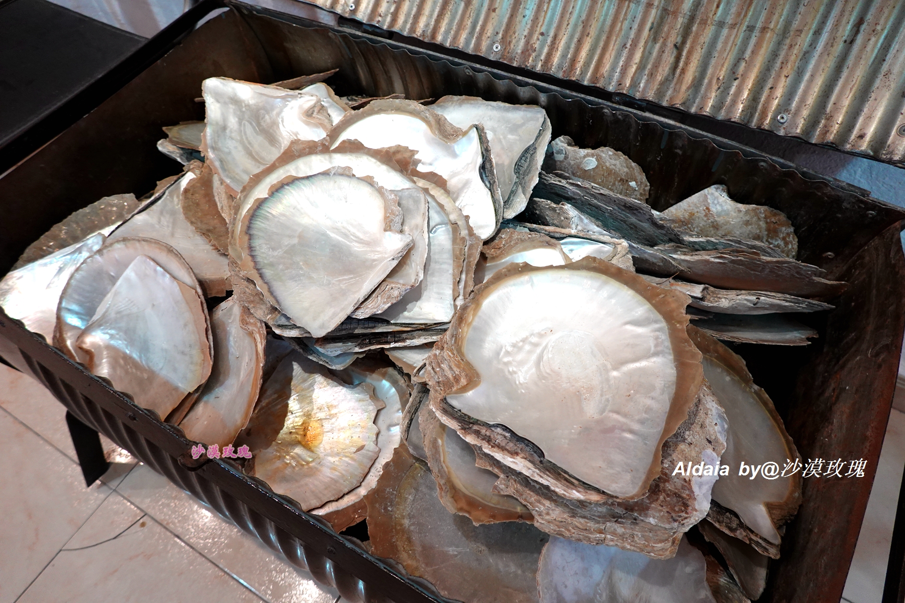 折扇起源于明清时代对吗,折扇是日本传的吗