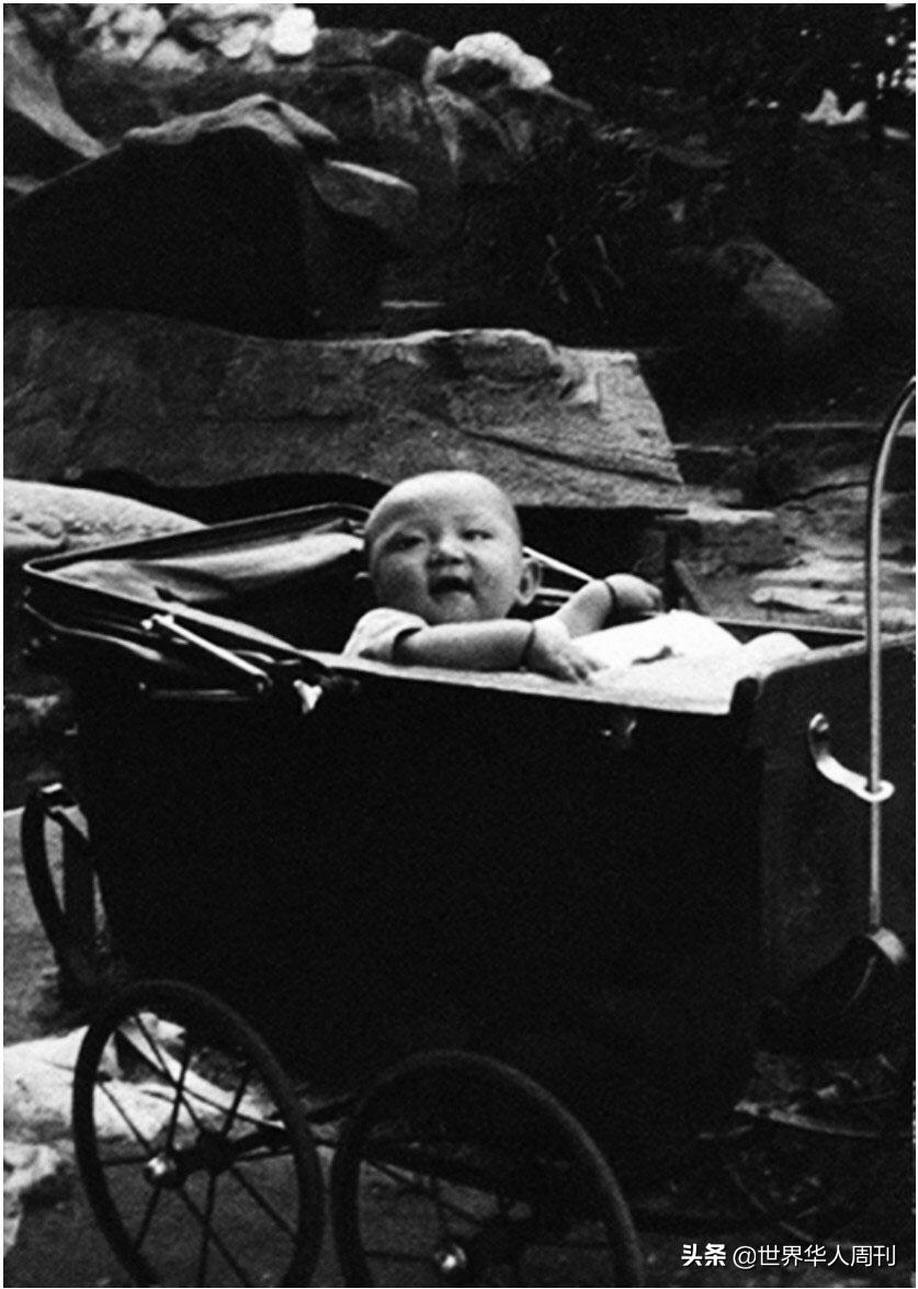 傅聪因什么过世,傅聪为什么逃往英国