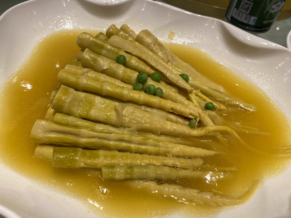 江浙沪自驾游亲子乐园推荐,江浙国内小众海岛亲子游