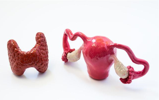 子宫内膜增厚与增生是什么？异常出血别轻视！