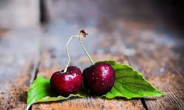 西安周边现在哪的樱桃成熟,西安摘樱桃好去处有哪些