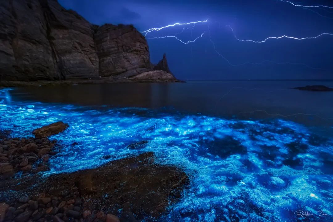 想去大连了,还有人想去大连吗