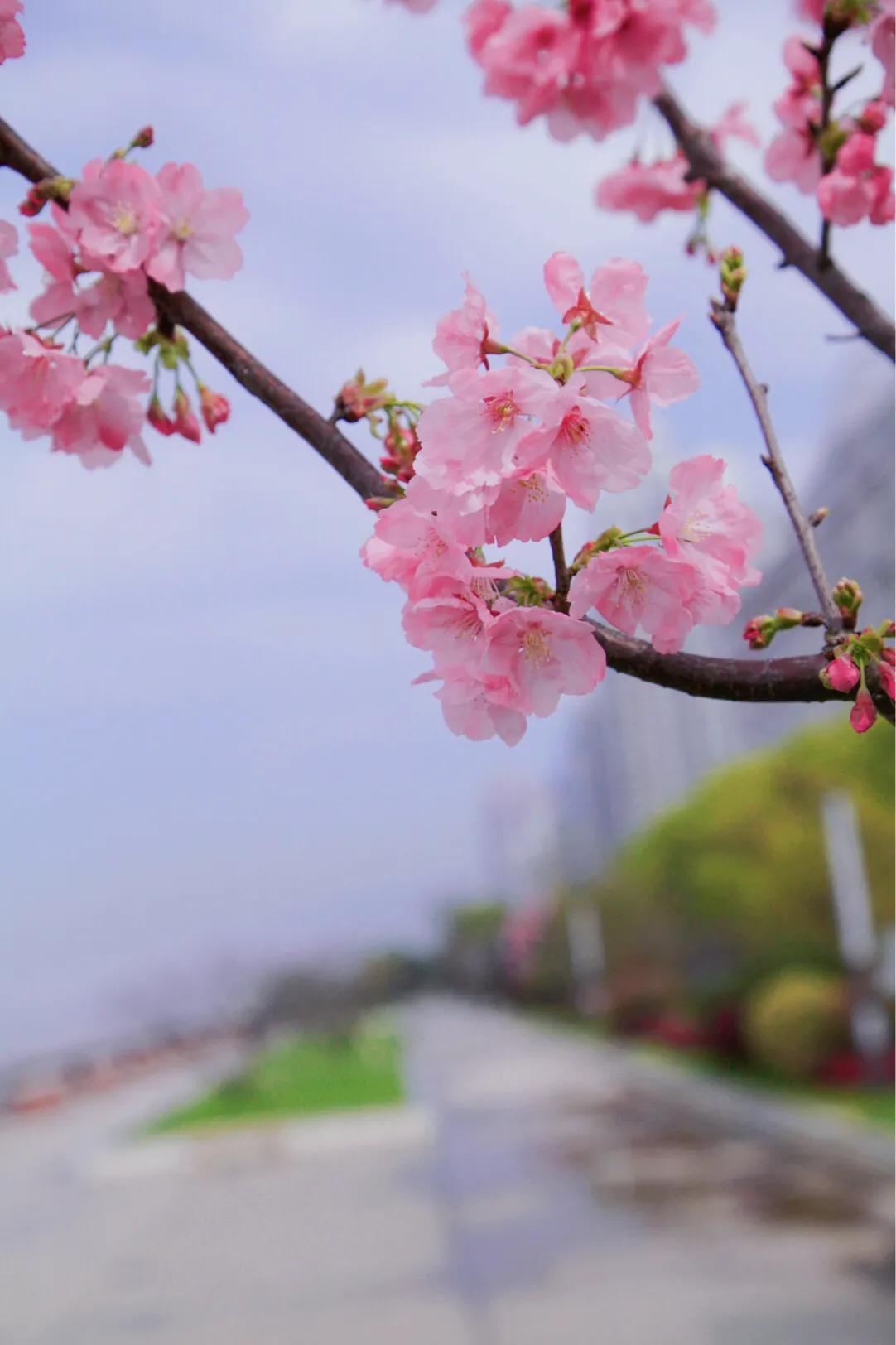 瑞安外滩：晟航摄影