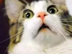 鍒板簳鏄粈涔堟敮鎾戜綘鍧氭寔涓嬪幓,甯︾潃浣犵殑缁嗚妭鍘昏拷鏌崡