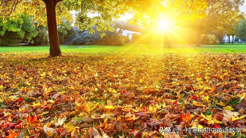 阳光温暖的早安英文句子,给你带来快乐!