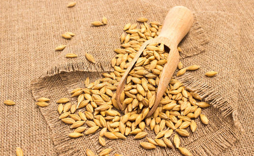 冬瓜荷叶茶刮油去脂品牌,冬瓜荷叶茶熬夜养生茶