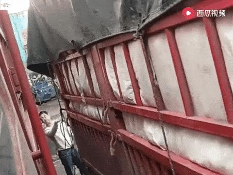 拉货去水果批发市场,拉货去批发市场是不是都是代卖