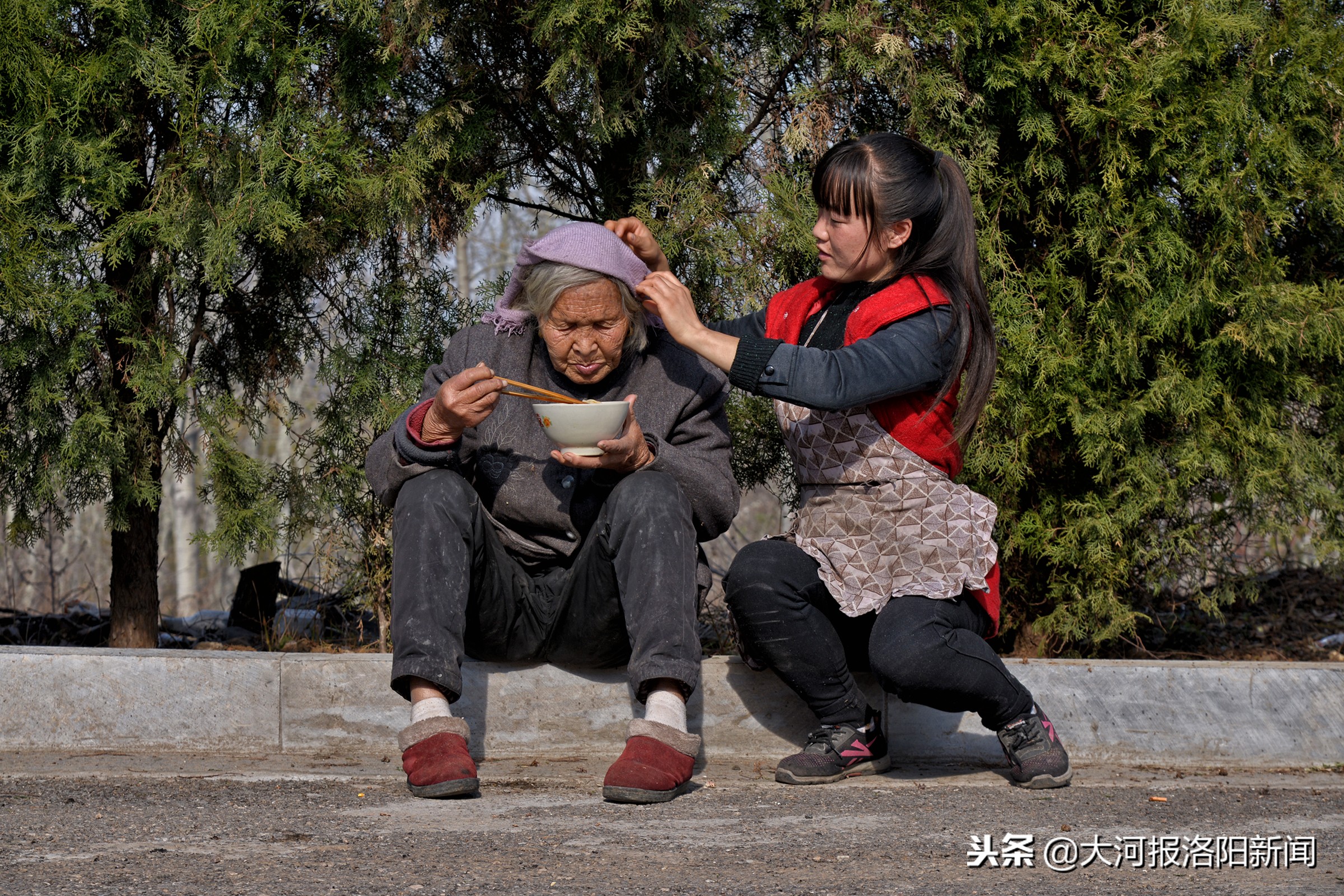 养牛女报恩养父,河南23岁女孩报恩养父深山养牛