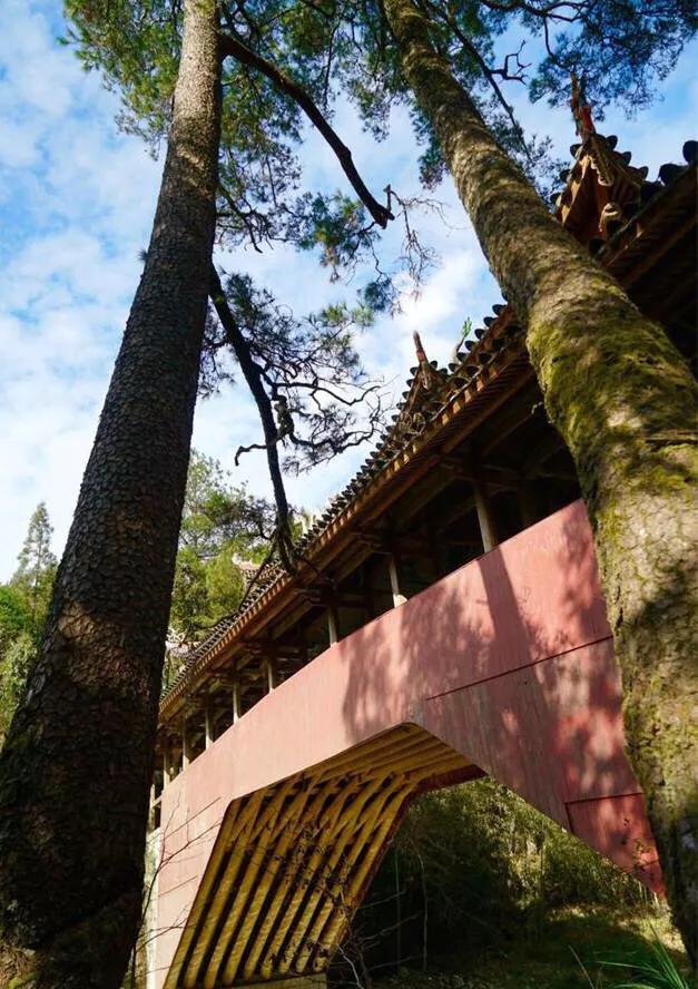 温州夏天有哪些好玩的,夏天去温州穿什么裙子