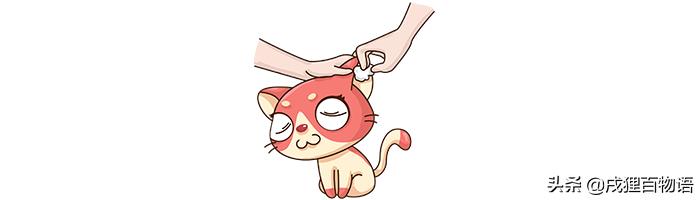 狗耳螨省钱的治疗方法,猫咪得了耳螨用什么药