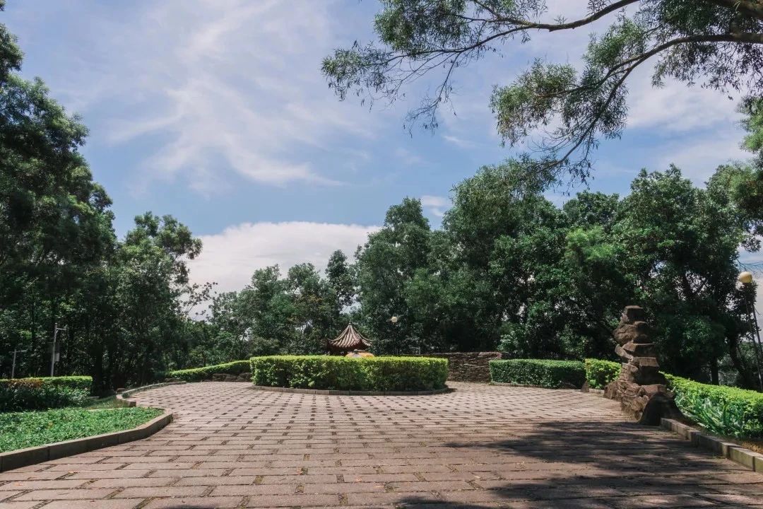 去深圳免费游玩的10个地方,深圳免费游玩景点推荐