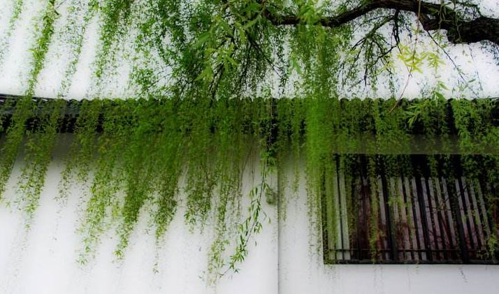 诗词春韵经典诵读,诗词春望古诗