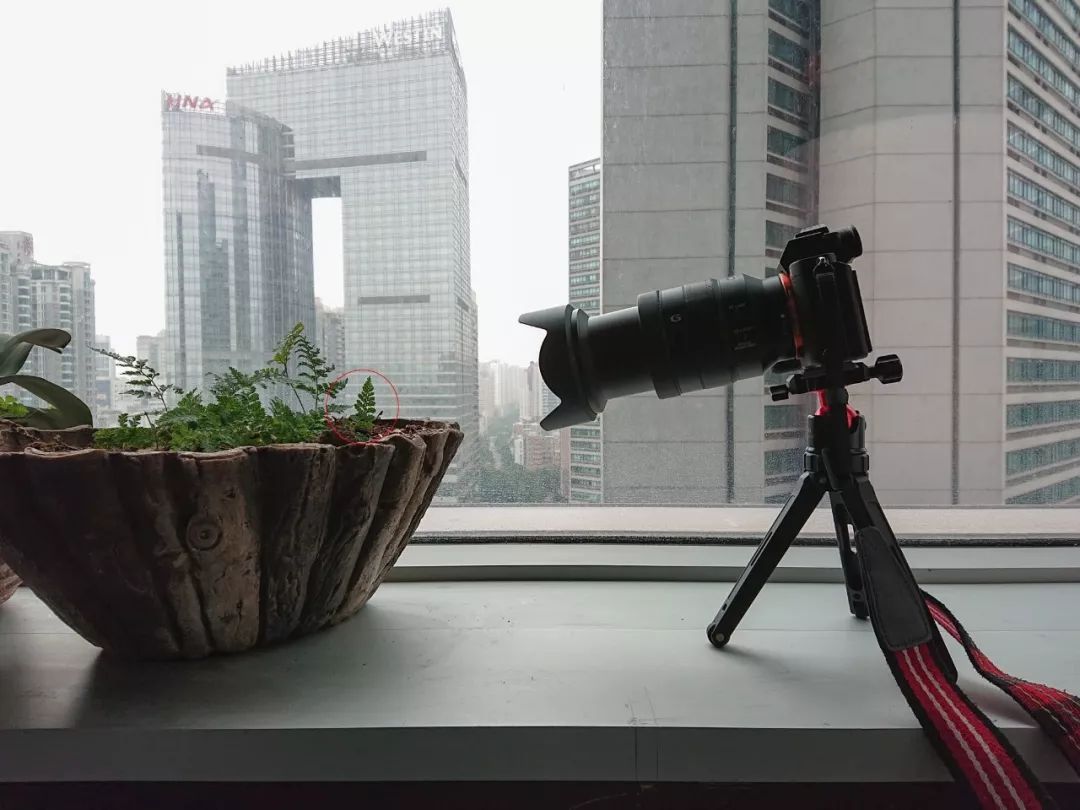 索尼fe24-105mmf4goss价格,索尼fe24-105mmf4能在尼康上用吗