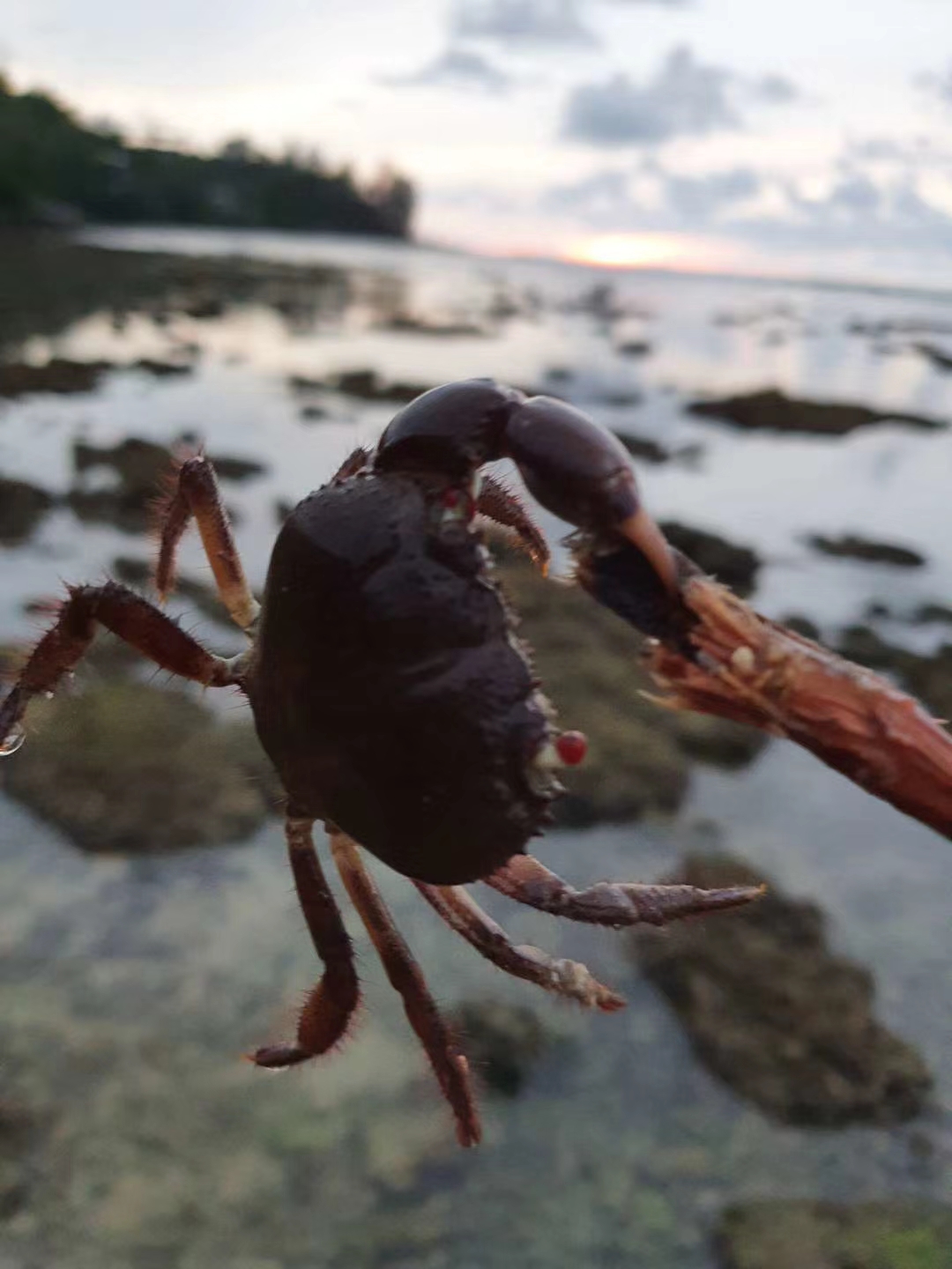 泰国普吉岛开民宿投资多少钱,普吉岛民宿多少钱一个月
