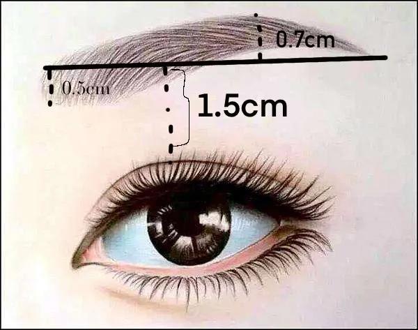 画眉毛的诀窍是什么,无眉画眉毛的技巧和方法