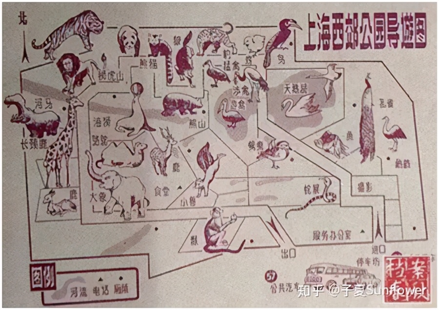 来上海动物园游玩,上海哪个动物园更值得去