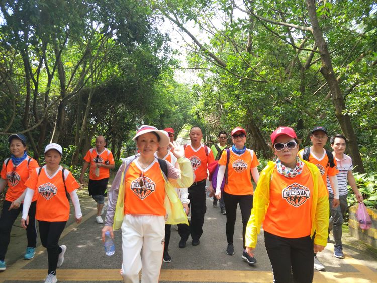 520,别样塘朗山!六约微马2019我们一起走第十二站塘朗山