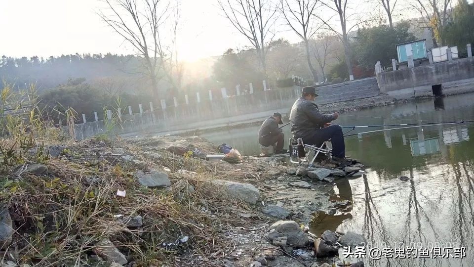老船塘作钓，用鬼饵体验惊喜
