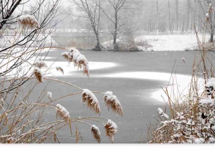 精神科医生分享日常,精神科医生成长之路