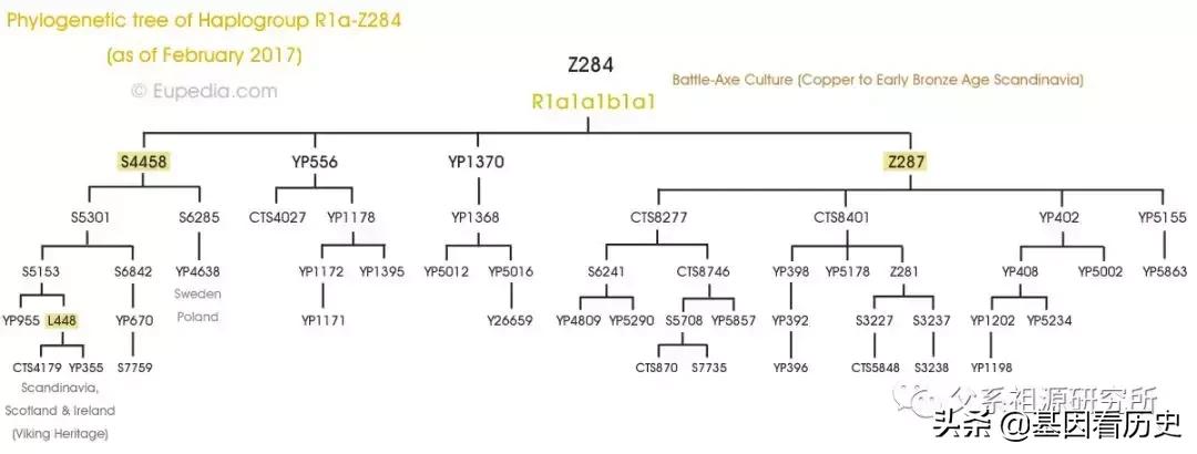 父系R1a人群系列——包括中国的楼兰人