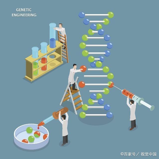 化学中科院和清华北大哪个好,化学最好的学校985大学排名