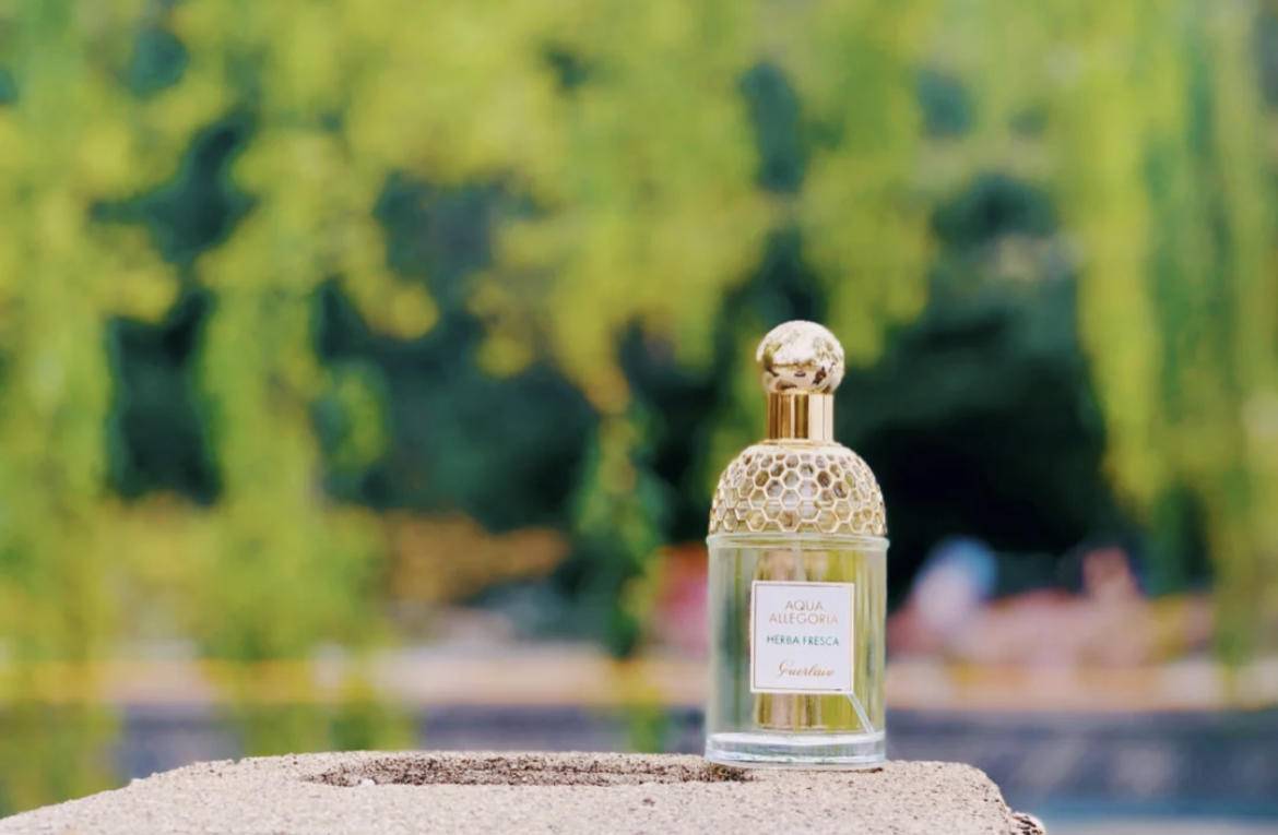 夏季高温清凉,高温天气穿什么凉快