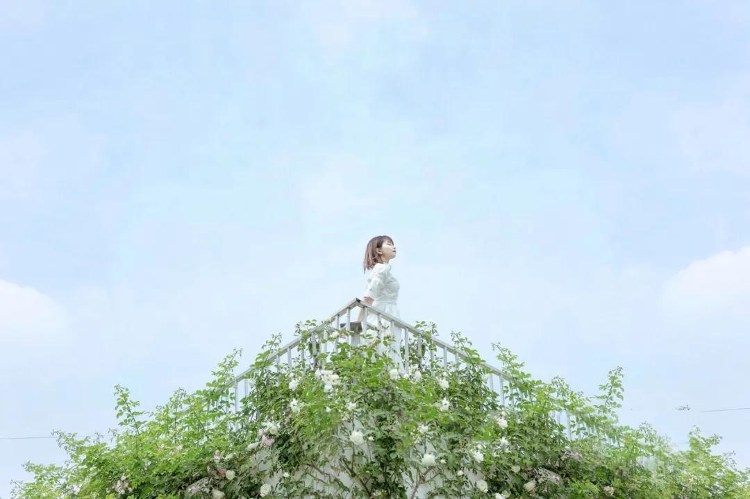 慢慢来上天自有安排,不着急慢慢来上天自有最好的安排