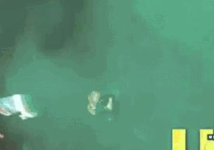 迈克尔杰克逊逝世12周年纪念日,迈克尔杰克逊逝世前12小时