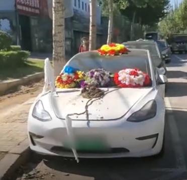 郑州特斯拉事件后续,特斯拉车顶维权当事人